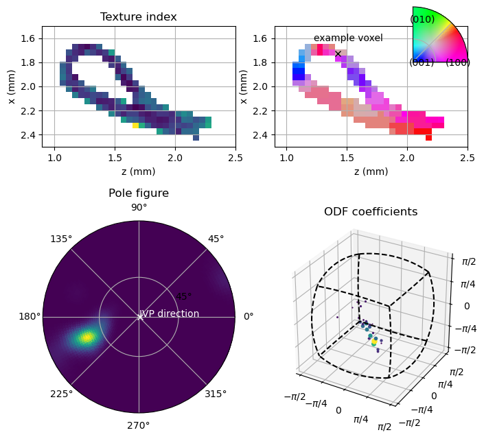 ../_images/notebooks_demonstration_compute_orientation_field_18_1.png