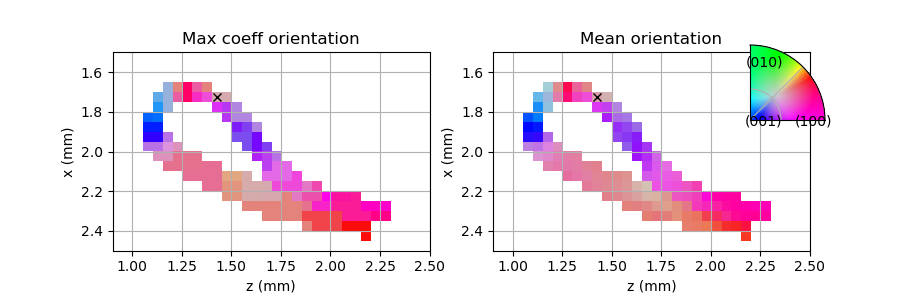_images/snail_orientation_field.png